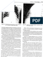 Pag 203