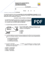 Evalución de Nivelación Sexto y Septimo