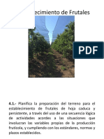 Establecimiento de Frutales PDF