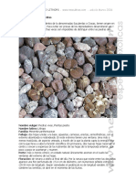 Manual_Cultivo_Crasas_Lithops_neocultivos.pdf