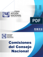 Presentacion Comisiones del Consejo Nacional