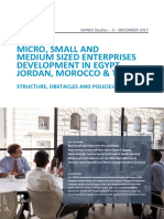 Emnes - Study - 003 Msmes Development in The Southern Mediterranean Countries PDF