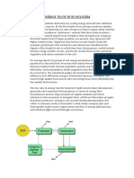 Energy Flow in Ecosystem