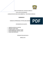 Subsidencia Resumen PDF