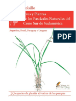 5.guia_de_campo_aves_y_plantas_de_los_pastizales_naturales_del_cono_sur_de_sudamerica____1.pdf