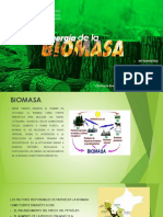 Energia de La Biomasa-electivo