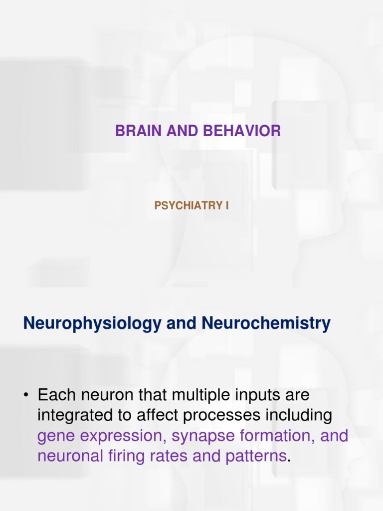 Brain & Behavior 1 | PDF | Neurotransmitter | Neuron