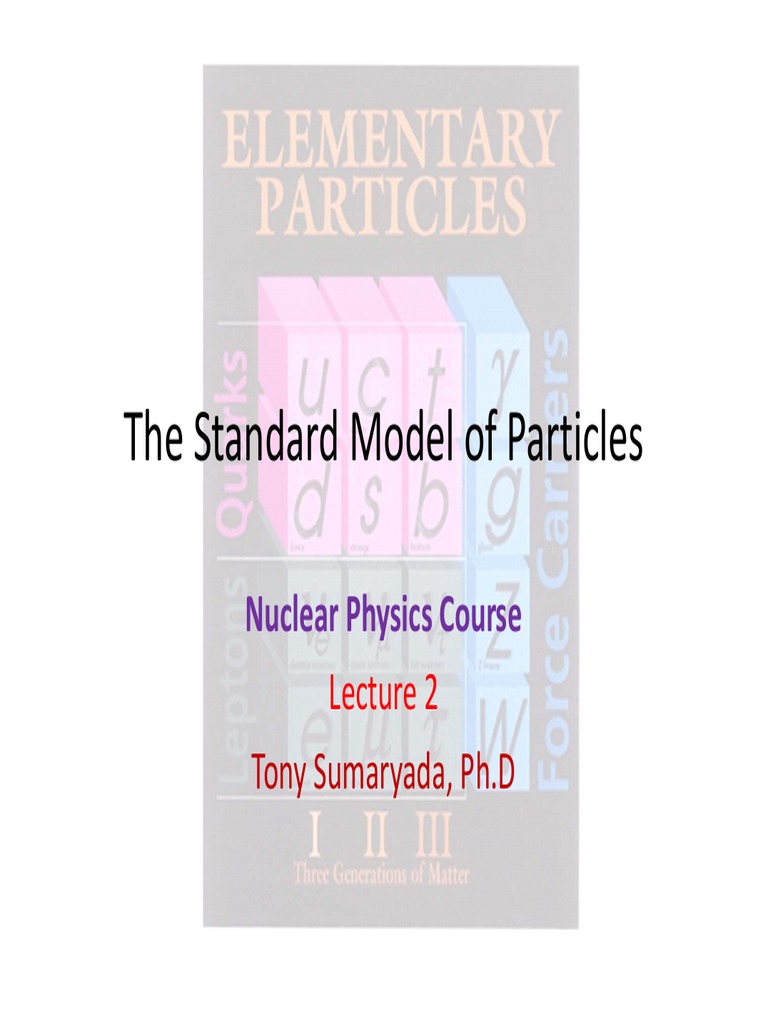 Standard Model & Particle Physics | PDF | Quark | Elementary Particle