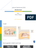 Anatomi Seksional USG Ab