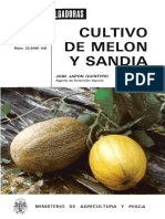 Patilla y melon.pdf