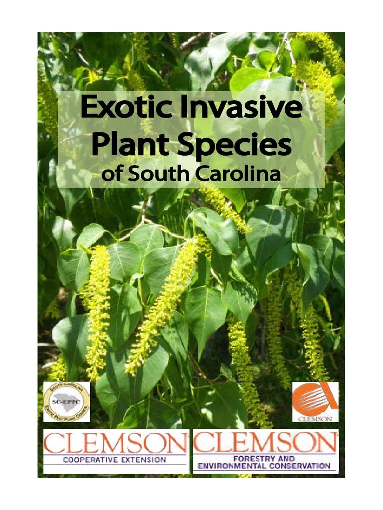 Invasive Plant Species in South Carolina | PDF | Environmental Design ...
