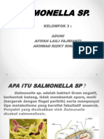 Kel. 3 Salmonella Sp.-1