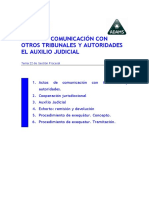 CP-06-Auxilio-Judicial-T22.pdf