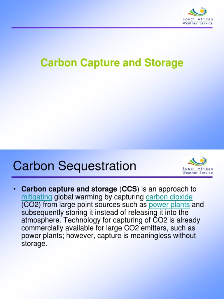 Carbon Capture and Storage Overview | PDF | Carbon Capture And Storage ...