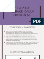 Pola-Pola Interaksi Dalam Ekosistem