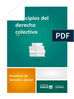 Principios de Derecho Laboral UNIDAD 3 y 4.pdf