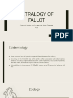 Tetralogy of Fallot Cyanotic Lesion Guide