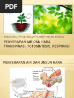 Download 06 Foto Dan Gerak Pada Tumbuhan by M Farkhan Habib SN40965665 doc pdf