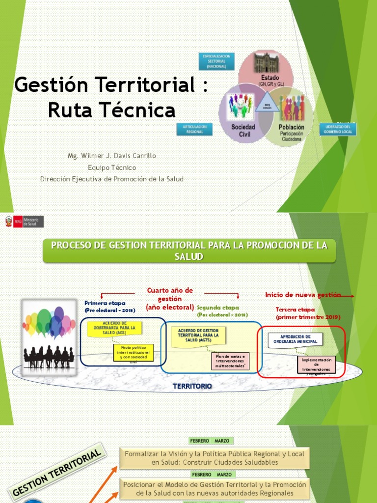 Gestión Territorial para La Salud | PDF | Gobierno | Cuidado de salud ...