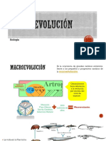 Macro Evolución 5