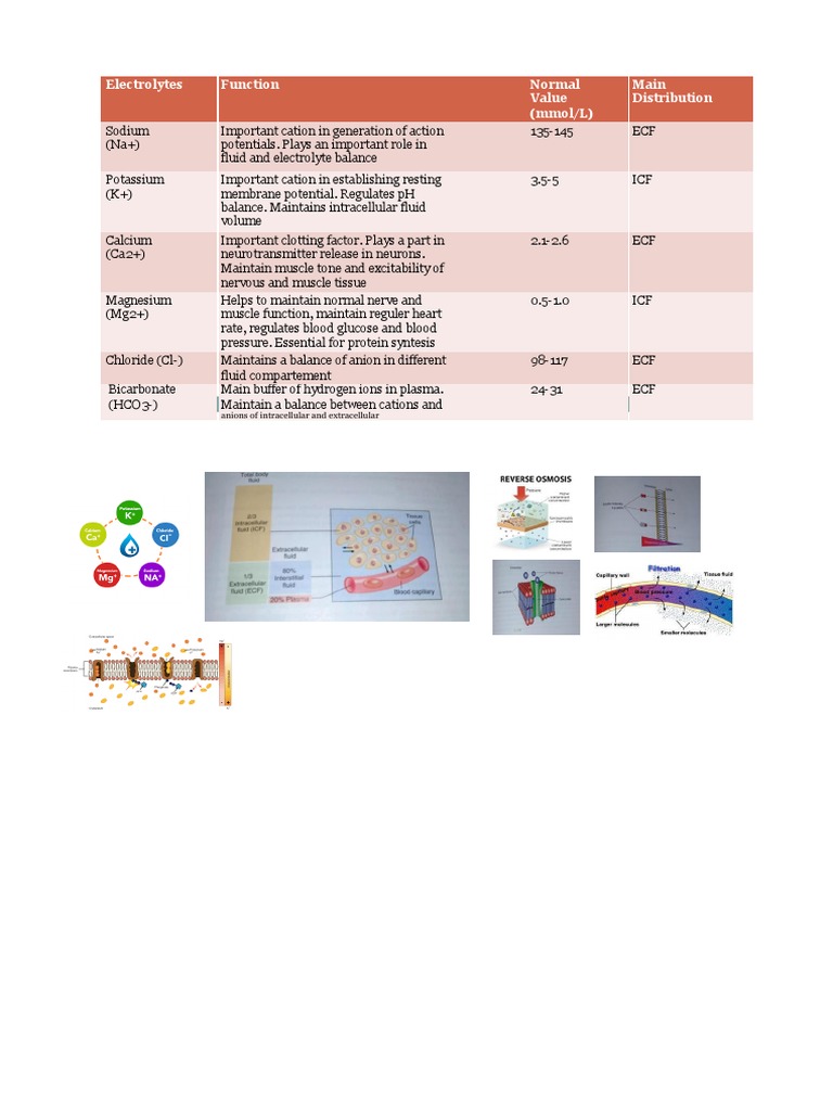 Electrolytes Function Normal Main Value Distribution (Mmol/l) PDF