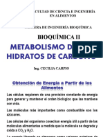 Catabolismo Carbohidratos 2013 PDF