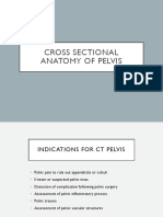 Cross Sectional Anatomy of Pelvis
