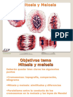 Tema 3 Mitosis y meiosis red2015_3_2D10_51.pdf