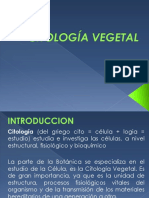 Citologia Vegetal