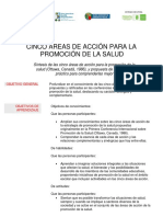 Cinco Áreas de Acción de Promoción de La Salud