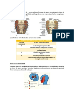 Links de La 2da Unidad S.C.