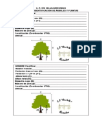 Ficha Árbol Identificación