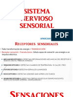 Sistema Nervioso Sensorial