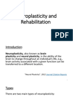 Neuroplasticity and Rehabilitation