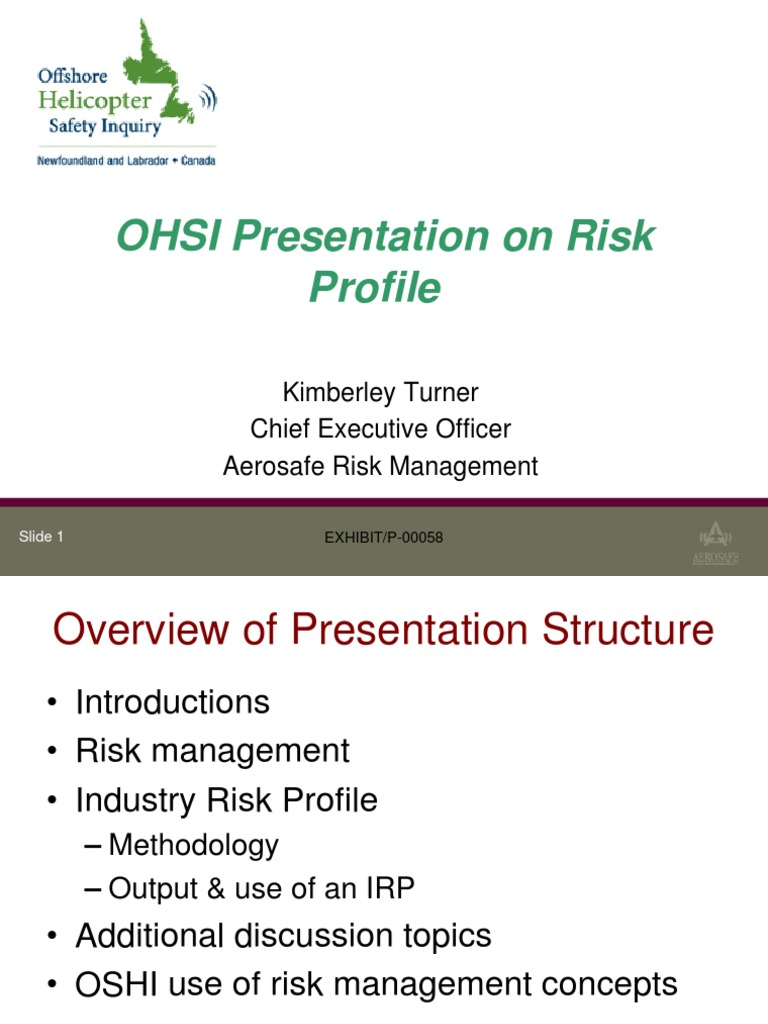 Risk Profile | PDF | Risk Management | Business
