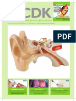 CDK210 PDF