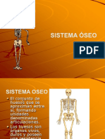 Sistema Oseo Diapositivas