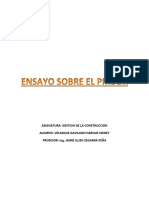 ENSAYO_SOBRE_EL_PMBOK.docx