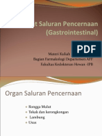 Gastro Intestinal Revisi