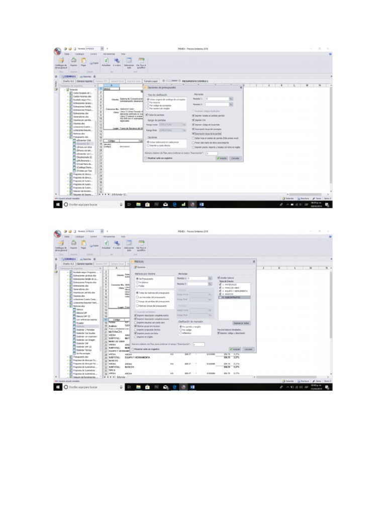 Como Imprimir en Neodata | PDF