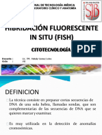 Fish Citogenetica
