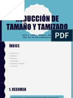 REDUCCION DE TAMAÑO Y TAMIZADO.pptx