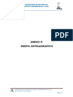 Anexo Ii Perfiles PDF