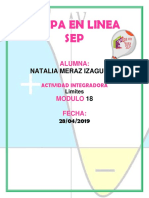 merazizaguirre_Natalia_M18S1_Limites.docx