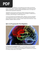 Resumen Programacion Neuro