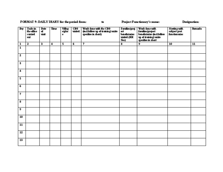 FORMAT 9: DAILY DIARY For The Period From: To Project Functionary's ...