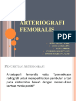 3132-Arteriografi Femoralis