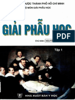 Bài Giảng Giải Phẫu Học Tập 1 - Nguyễn Quang Quyền