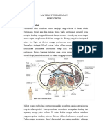 299537796-LP-Peritonitis.doc