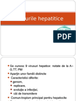 virusurile-hepatitice